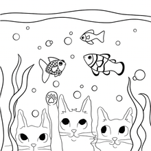 Charger l'image dans la galerie, Victor et Anaïs DRÔLES DE CHATS Le livre à colorier