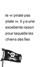 Charger l'image dans la galerie, Victor et Anaïs JACK SPIRALE, le pirate pas plate Tome 1