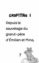 Charger l'image dans la galerie, Victor et Anaïs Livre La cabane et l’anneau d’or TOME 2