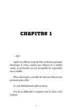 Charger l&#39;image dans la galerie, Victor et Anaïs La fièvre du soccer Tome 3