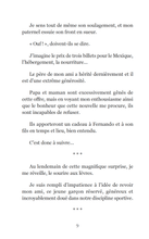 Charger l&#39;image dans la galerie, Victor et Anaïs La fièvre du soccer Tome 4