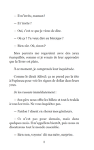 Charger l&#39;image dans la galerie, Victor et Anaïs La fièvre du soccer Tome 4