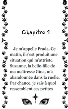 Charger l&#39;image dans la galerie, Victor et Anaïs Les chats ninjas #2