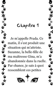 Victor et Anaïs Les chats ninjas #2